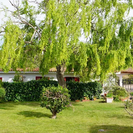 Oasi Con Piscina E Giardino - באיה סרדיניה