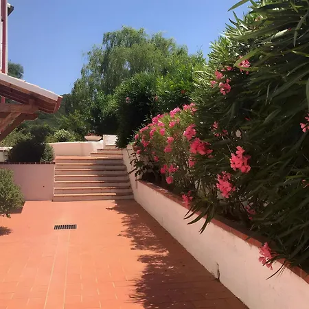 Oasi Con Piscina E Giardino - *